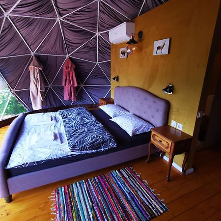 Glamping Zazen Hotel Drumu Carului Luaran gambar