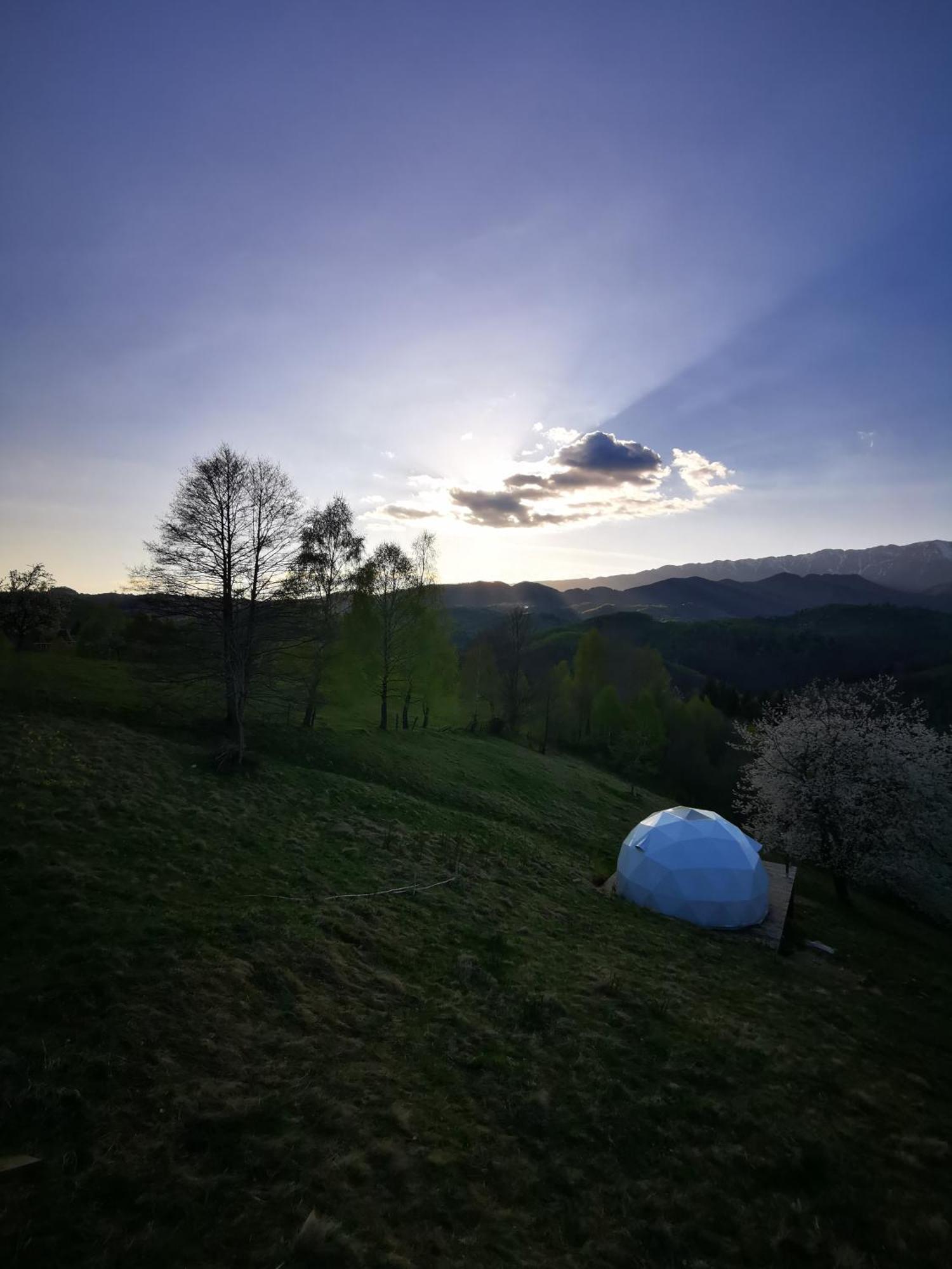 Glamping Zazen Hotel Drumu Carului Luaran gambar