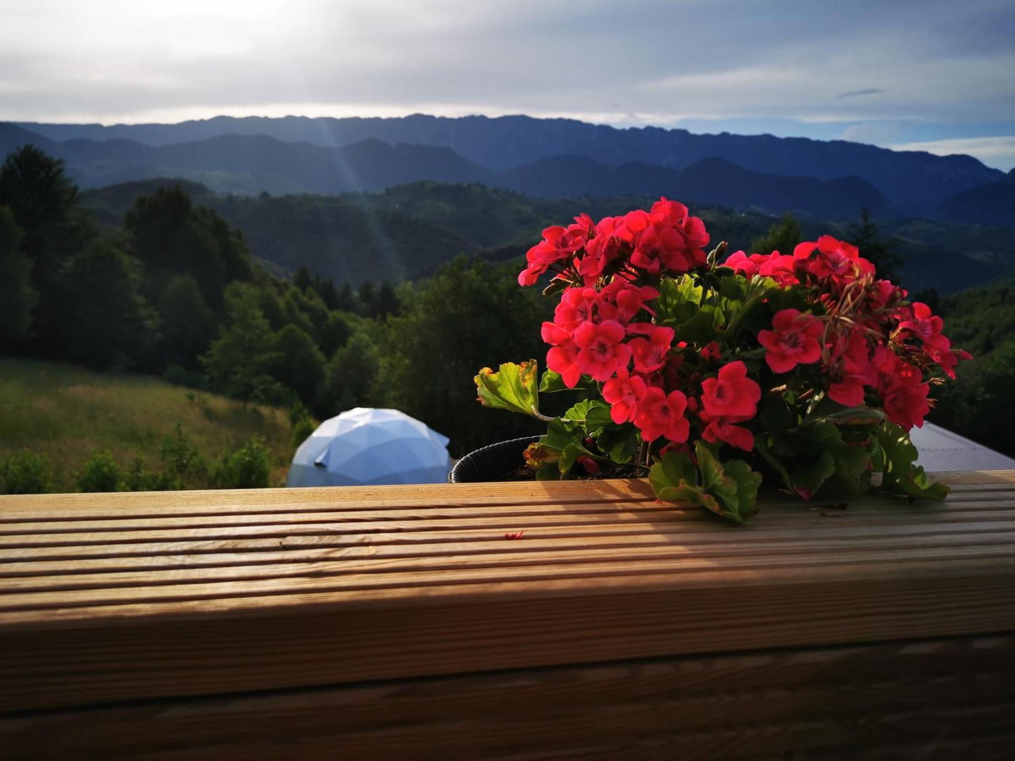 Glamping Zazen Hotel Drumu Carului Luaran gambar
