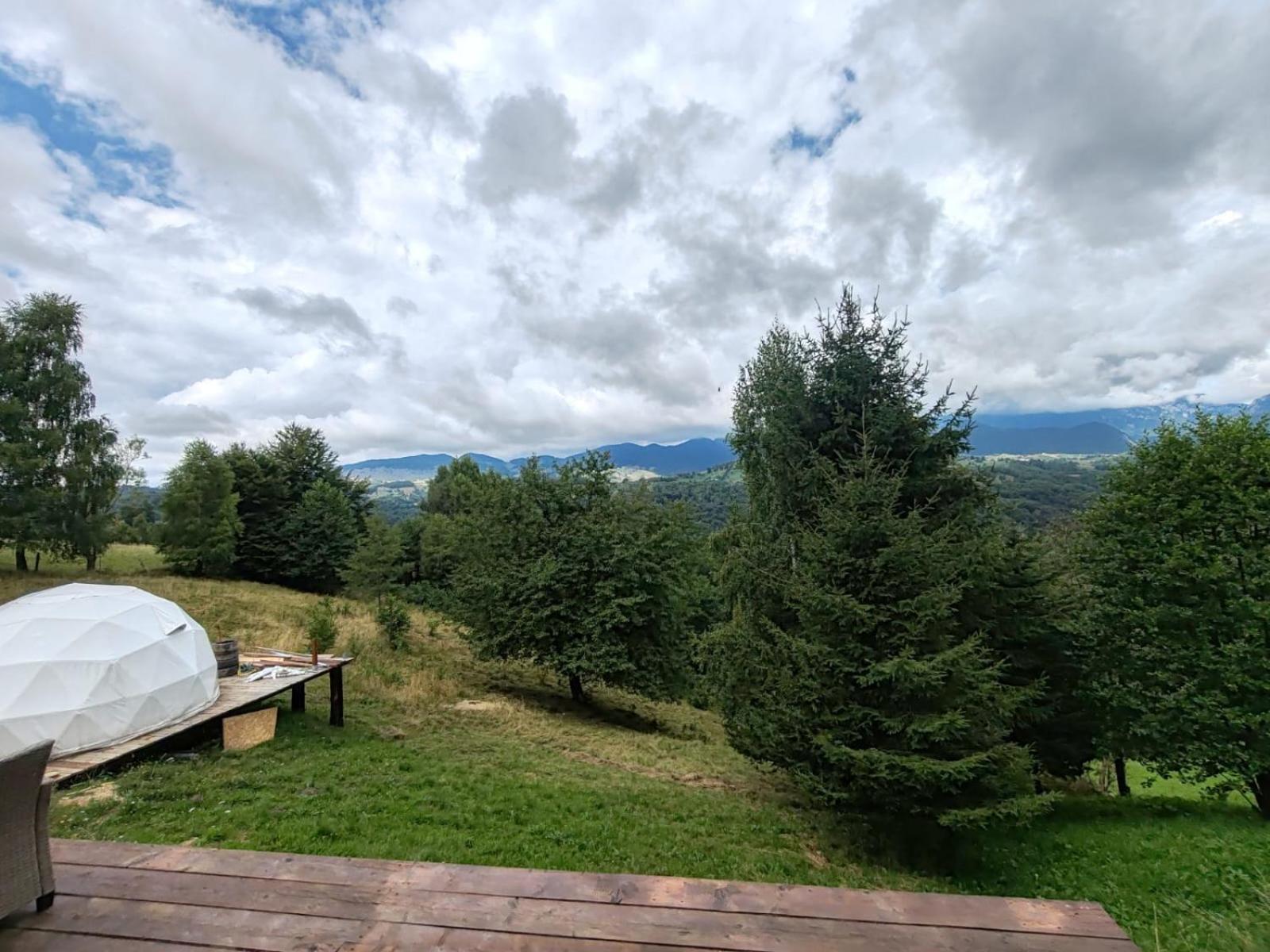 Glamping Zazen Hotel Drumu Carului Luaran gambar